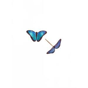 NEW HOLLY YASHI women's petite bella butterfly post earrings in blue radiance